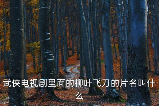 武俠電視劇里面的柳葉飛刀的片名叫什么