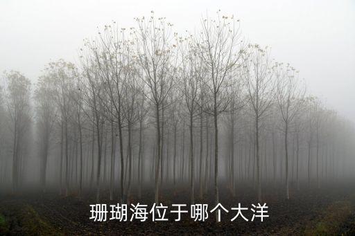 珊瑚海,世界最大邊緣海珊瑚海面積4.79億平方公里