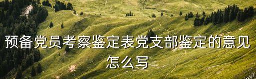 支部鑒定，黨支部成員自我鑒定怎么寫