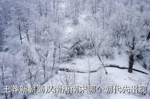 王莽新朝，王莽新朝蜀漢南唐南宋哪個朝代先出現