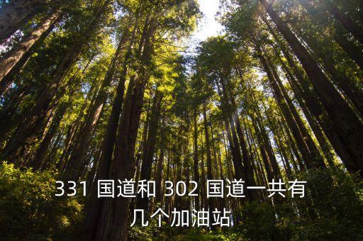 331 國道和 302 國道一共有幾個(gè)加油站