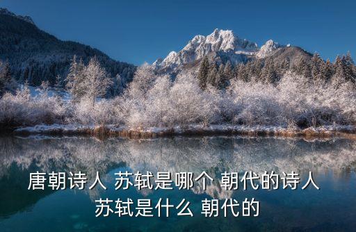 唐朝詩人 蘇軾是哪個 朝代的詩人 蘇軾是什么 朝代的