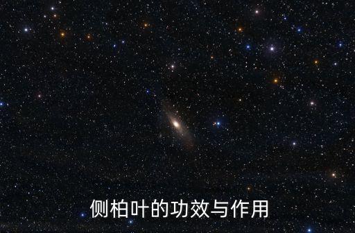 側柏葉功效,涼血止血兼收斂柏枝有助治療跌打損傷