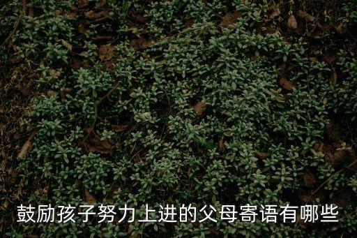 家長對孩子的鼓勵，父母鼓勵孩子的話語