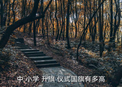 中 小學 升旗 儀式國旗有多高