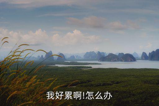 我好累,我好累韓語翻譯:請不要對我這么好