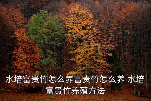水培富貴竹怎么養富貴竹怎么養 水培富貴竹養殖方法
