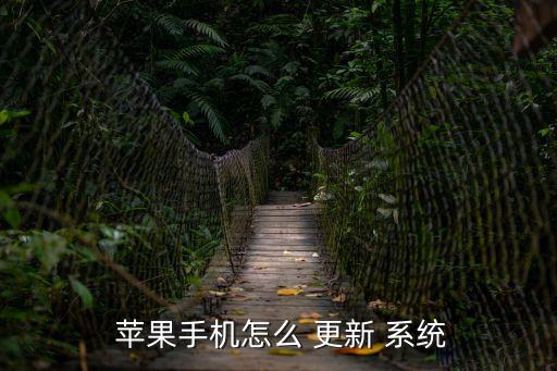 蘋果系統怎么更新,蘋果手機應用程序自動更新系統更新