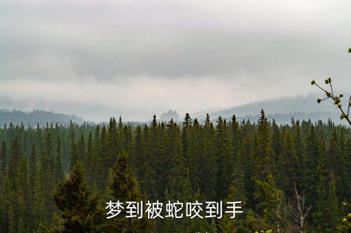 夢到被蛇咬到手