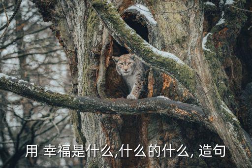 用 幸福是什么,什么的什么, 造句