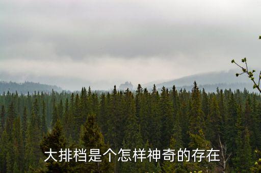 大排檔,四川燒烤大排檔分幾個派別大家排好隊