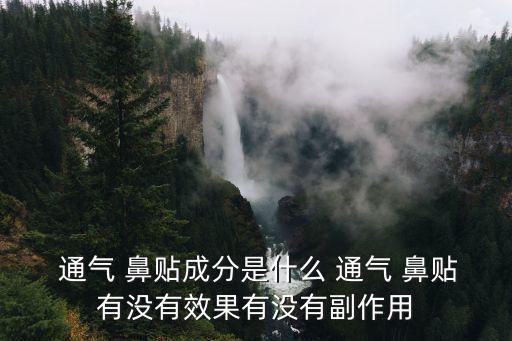  通氣 鼻貼成分是什么 通氣 鼻貼有沒有效果有沒有副作用