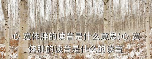 心寬體胖的意思,xin寬體胖的拼音和意義