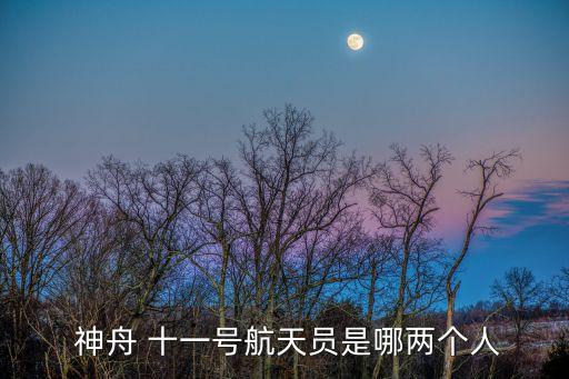 神舟十一,神舟十一指中國發射的載人飛船