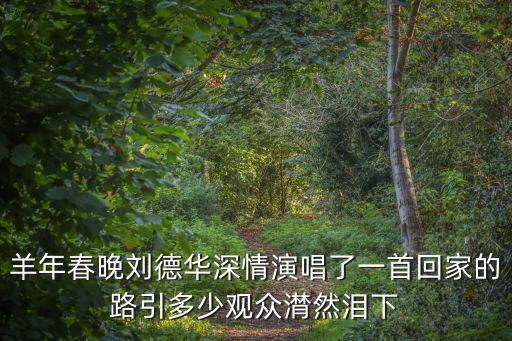 劉德華回家的路，劉德華回家的路在哪拍攝取景