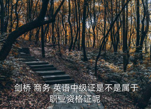 劍橋商務(wù)英語證書,劍橋商務(wù)英語證書bec有效期為終身有效