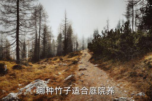 唐竹,竹類植物毛竹紫竹唐竹等竹類品種入選觀光園