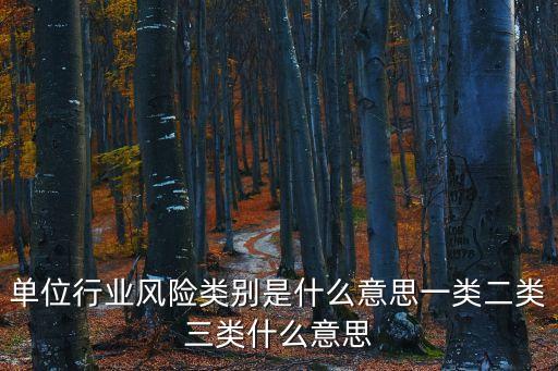 單位行業風險類別是什么意思一類二類三類什么意思
