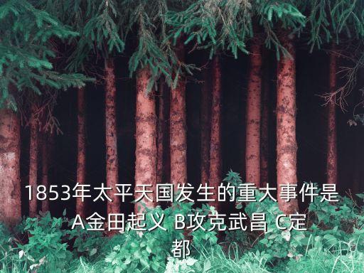 1853年太平天國發生的重大事件是   A金田起義 B攻克武昌 C定都