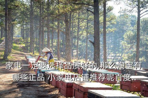 海爾小家電,海爾冰箱和美的冰箱哪個好?