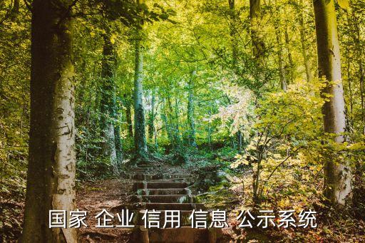 全國企業信用信息公示系,政府將為中小企業提供更多援助