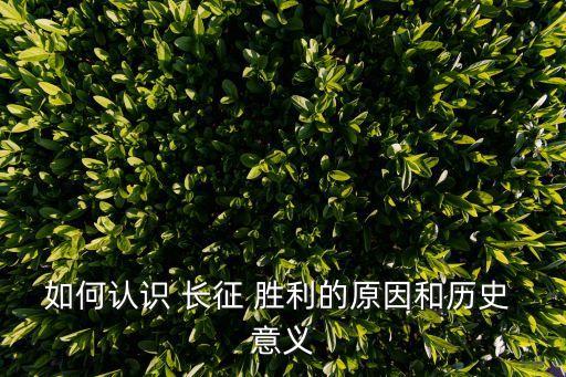 如何認(rèn)識(shí) 長(zhǎng)征 勝利的原因和歷史 意義