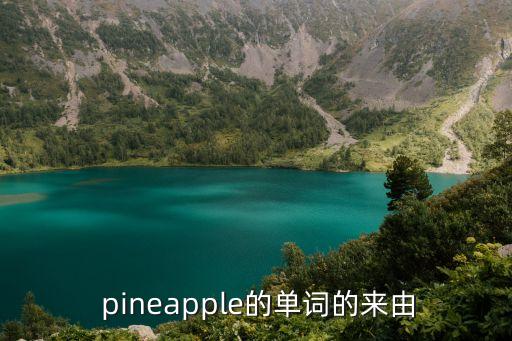  pineapple的單詞的來由