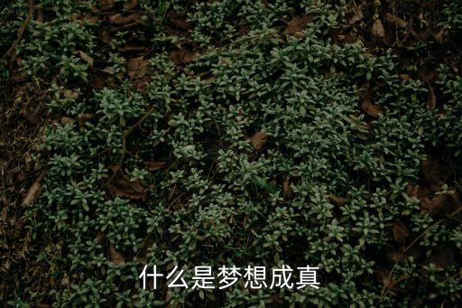 夢想成真，夢想成真造句