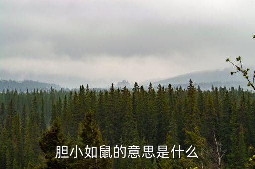 膽小如鼠，膽小如鼠的意思是什么