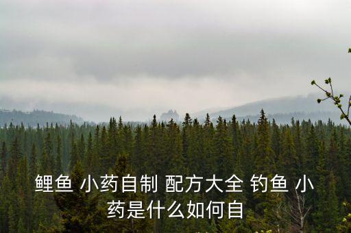 釣魚(yú)小藥配方,自制釣魚(yú)小藥配方牛肉鯽魚(yú)兩袋香六瓣