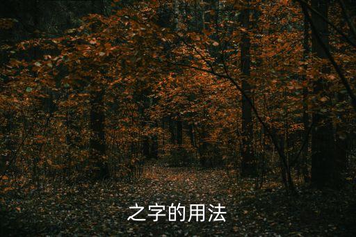 之字的用法，論語中的之字用法