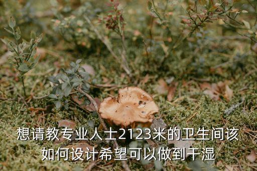 想請教專業人士2123米的衛生間該如何設計希望可以做到干濕