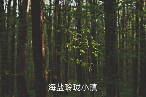玲瓏小鎮，杭州玲瓏小鎮那那里