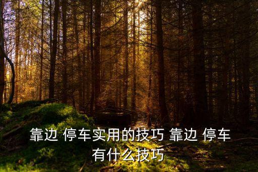  靠邊 停車實用的技巧 靠邊 停車有什么技巧