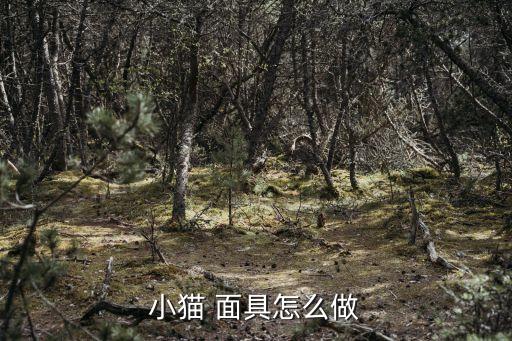小貓 面具怎么做