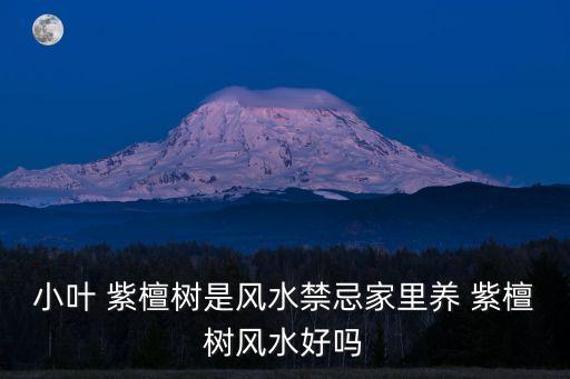 小葉 紫檀樹是風水禁忌家里養 紫檀樹風水好嗎