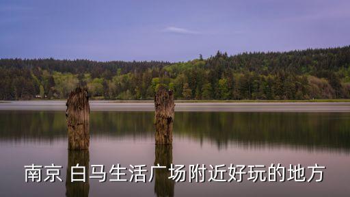白馬湖公園,公園內搭帳篷過夜會有安全風險