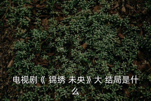 電視劇《 錦繡 未央》大 結局是什么