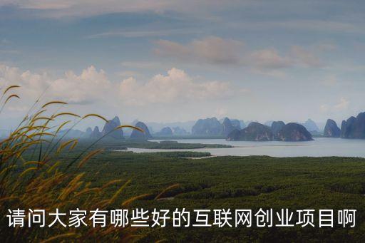 互聯網創新項目，請問大家有哪些好的互聯網創業項目啊