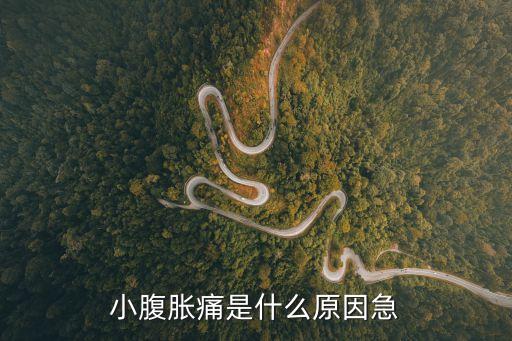 小腹脹痛是什么原因急