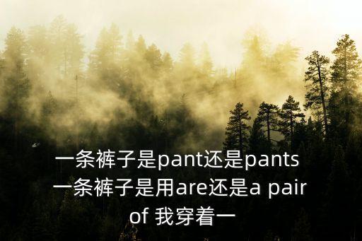 一條褲子英文，一條褲子用英語怎么說