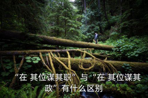 “在 其位謀其職”與“在 其位謀其政”有什么區別