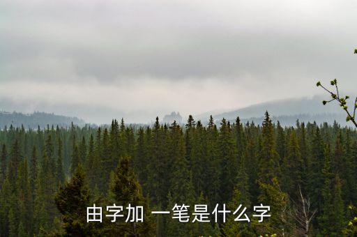 由字加 一筆是什么字
