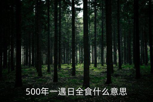 500年一遇日全食什么意思