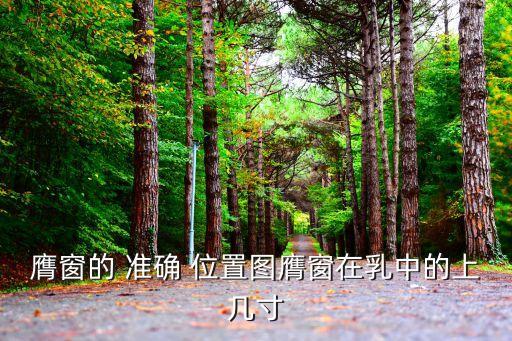 膺窗的 準確 位置圖膺窗在乳中的上幾寸