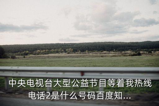 中央電視臺等著我,央視在等著我欄目組有何來頭?