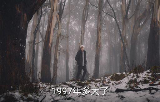 1997年多大了