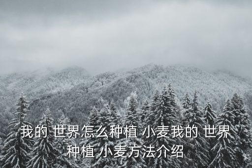 我的世界小麥,從骨灰到種子轉化為種子!