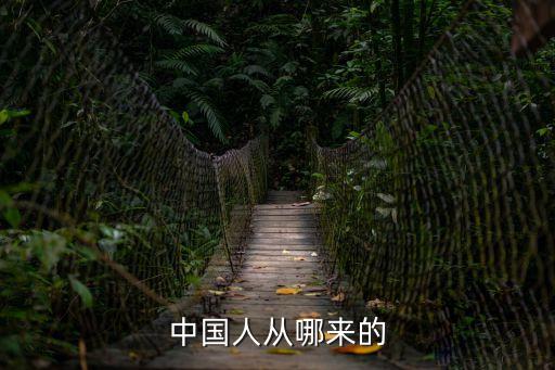 中國人從哪來的