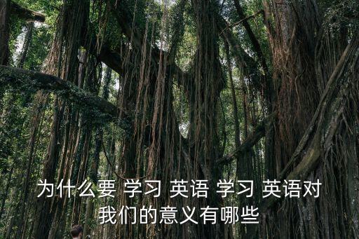 為什么要 學習 英語 學習 英語對我們的意義有哪些